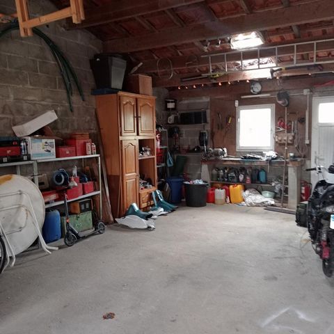 photo no. 12