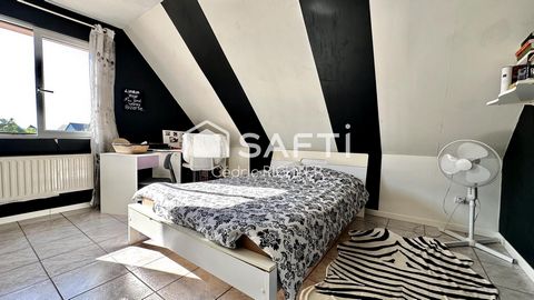 photo no. 7