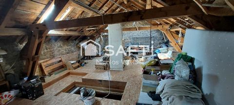 photo no. 15