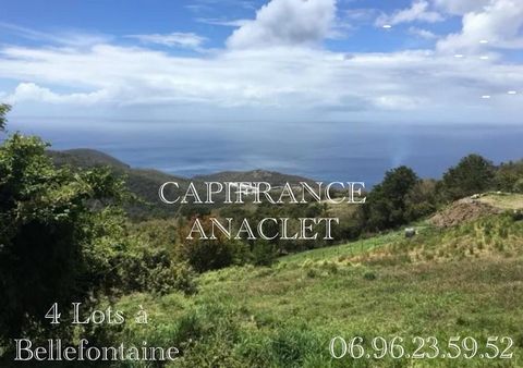 ? À Vendre Terrain Constructible à Bellefontaine (972) ? VUE MER IMPRENABLE