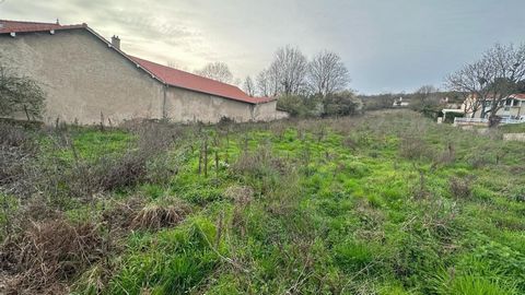photo no. 1