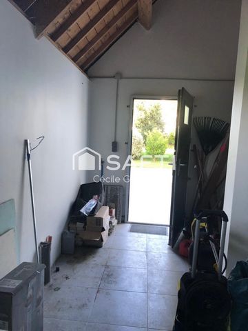 photo no. 15