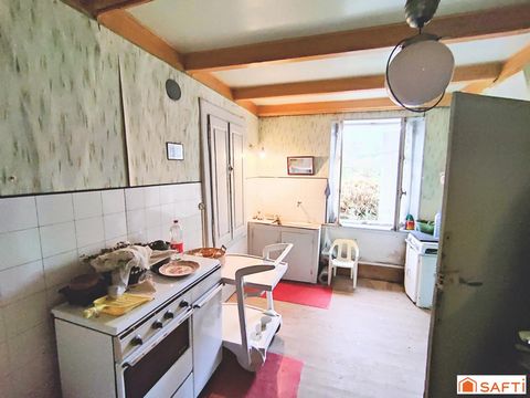 photo no. 7