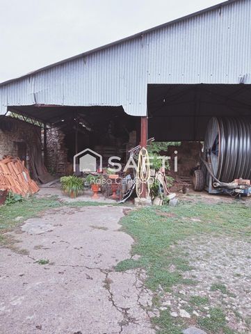 photo no. 3