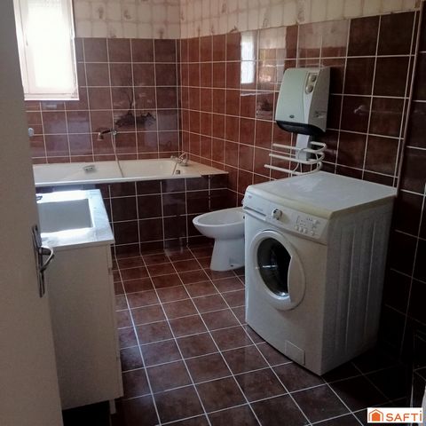 photo no. 19