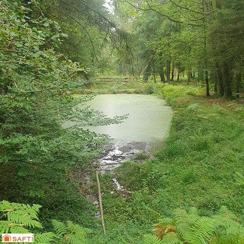 photo no. 5