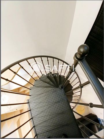 photo no. 12