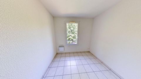 photo no. 6