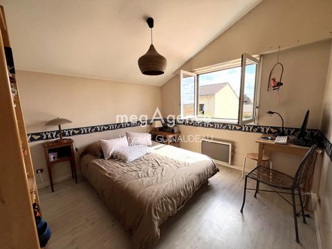 photo no. 12
