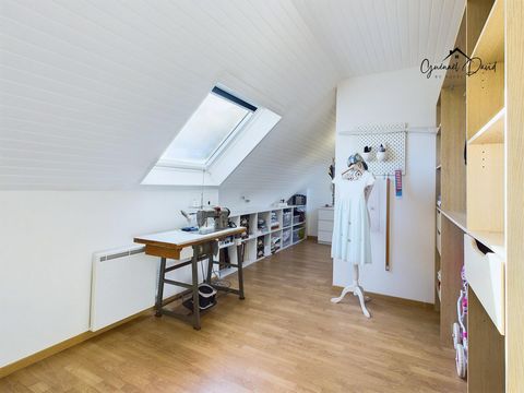 photo no. 10