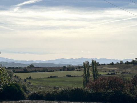 photo no. 12