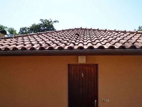 photo no. 10