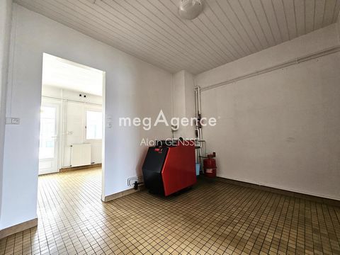 photo no. 12