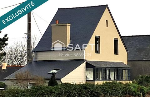 photo no. 7