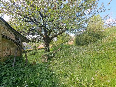 photo no. 23