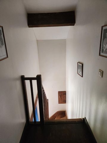 photo no. 17