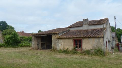 photo no. 2