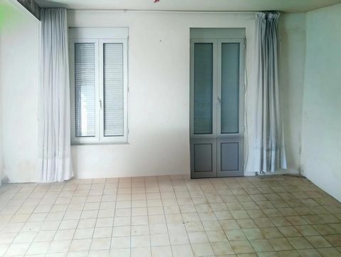photo no. 5