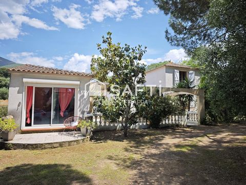 Maison avec studio, piscine et jardin arboré – Bastelicaccia