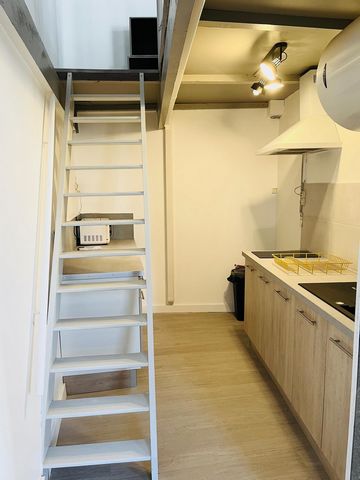 photo no. 4