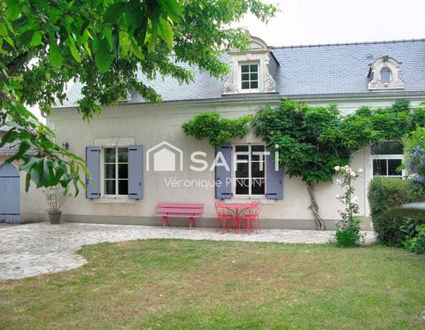 photo no. 13