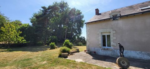 photo no. 3