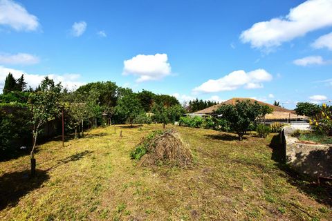 photo no. 8