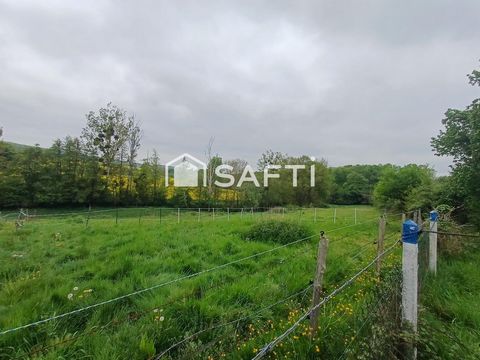photo no. 10