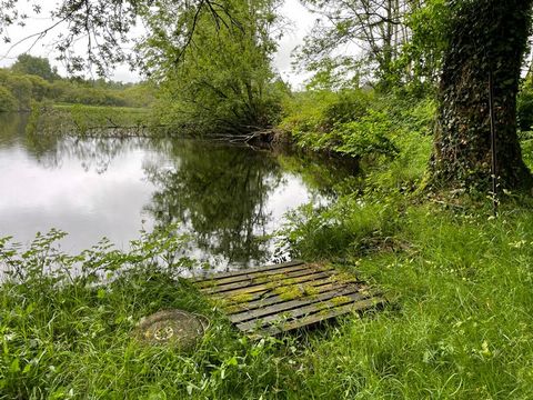 RARE À LA VENTE Étang + terrain, nature & potentiel à SAINT NICOLAS COURBEFY (87)