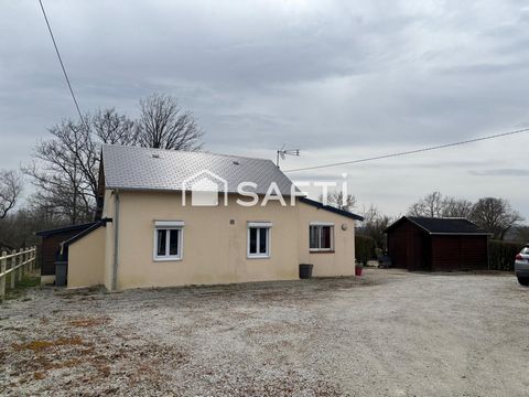 photo no. 10