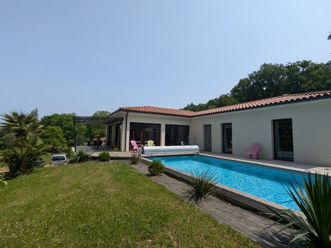 photo no. 17