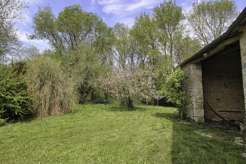photo no. 9