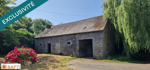 photo no. 3