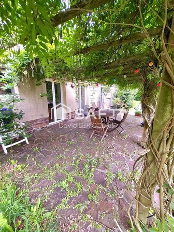 photo no. 18