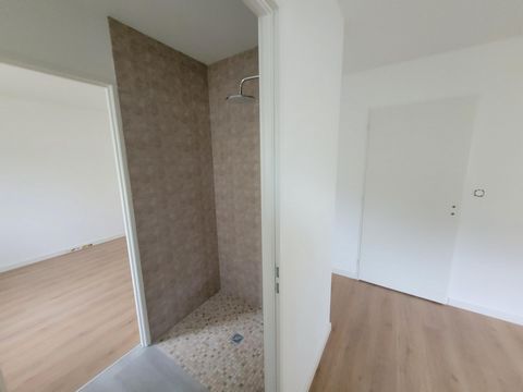 photo no. 10