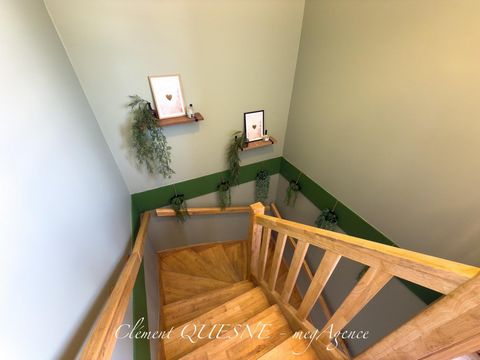 photo no. 12