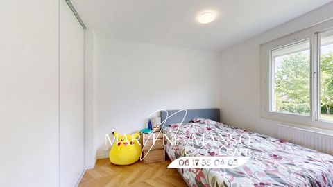 photo no. 6