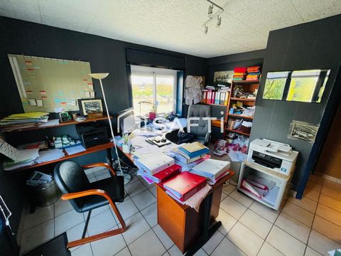 photo no. 10