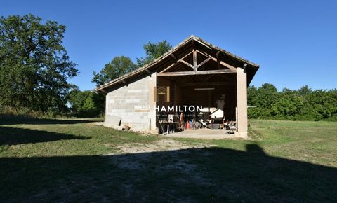 photo no. 6