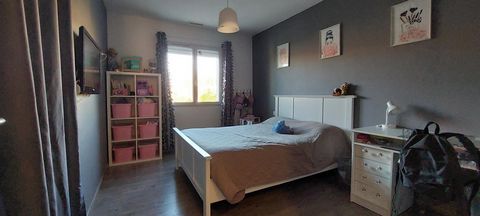 photo no. 10