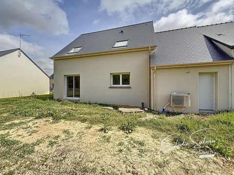 photo no. 11