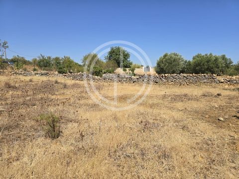 Oportunidade Única em Falfosa - Santa Bárbara de Nexe, Faro Terreno com 12.650 m², incluindo cerca de 2.000 m² de área urbana, com potencial para construção de uma ou mais moradias, sujeito a aprovação pelas entidades competentes. A 7 km do aeroporto...