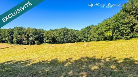 Terrain de 11 852 m² avec vue dégagée, au cœur d’un des plus beaux villages de France