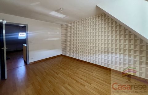photo no. 11