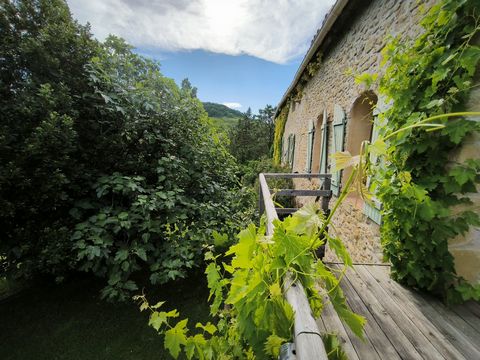 Joli complexe 10 ' Mirepoix