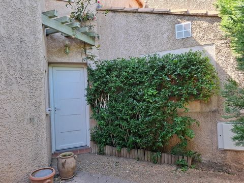 photo no. 17