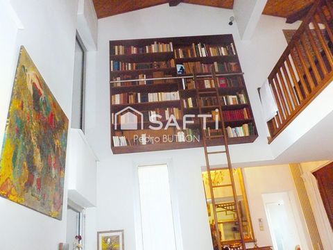 photo no. 6