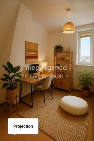 photo no. 11
