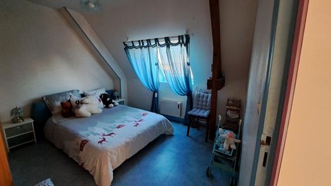 photo no. 12