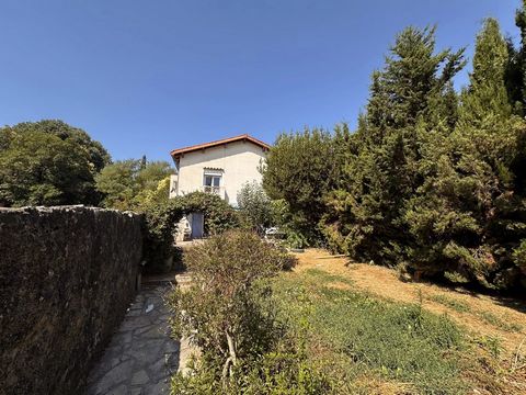 photo no. 3